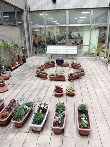 IMG_20250522_140319
